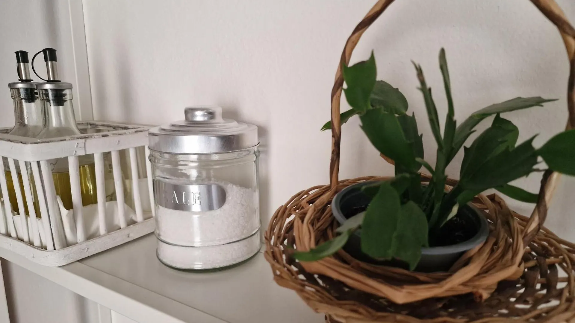 La Fenice Grazioso Appartamento In Centro Con Cortile Privato Forli 0*,  Italy